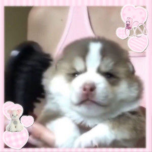 Meet your Posher, Trinity